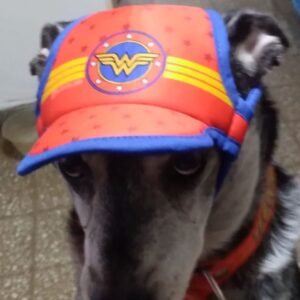 Gorra para Mascotas Wonder Woman
