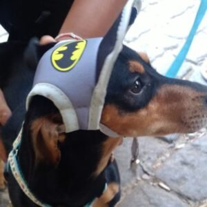 Gorra para Mascotas de Batman