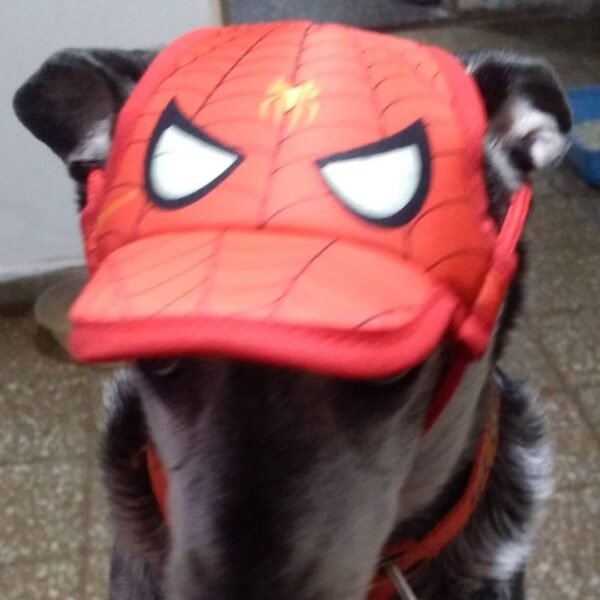 Gorra para Mascotas de Spiderman - Image 2