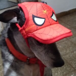 Gorra para Mascotas de Spiderman